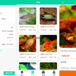 A0018一款双语言支持中英文的理财程序，养鱼金融投资理财源码支持商城抽奖投资收益余额宝等！