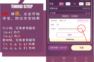 A0094很不错的夺宝游戏源码+荣耀夺宝源码/内置域名防封系统+对接个人免签码支付系统