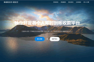 A0291商业正版源码/个人即时到账收款平台源码/微信支付宝接口