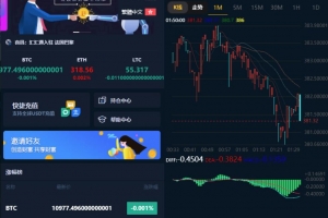 A0380汇汇多语言微盘系统源码 usdt支付系统源码完美运营2次开发版+完整数据+K线正常+3种语言
