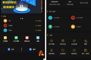 A0562区块链CAGI虚拟资产币投资分红理财创投源码+杠杆转账完整源码