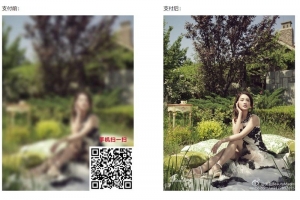 A0665图片加密平台源码v3.5在线收款发货系统源码