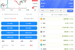 A0688开源版海外竞猜平台/海外双语言竞猜系统/USDT充值/虚拟币游戏平台