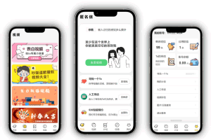 A0706精灵传信系统 精灵通讯技术 自定义对接易支付 支持网站+小程序双端源码