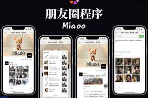 A0707开源版源码Miaoo朋友圈程序 朋友圈实现原理 朋友圈功能开发