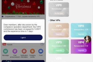 A0989-海外视频平台点赞刷单悬赏任务投资理财源码/tiktok+YouTube+instagram+facebook