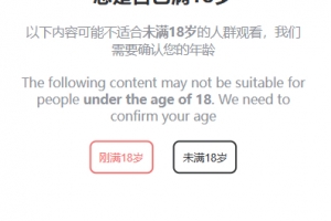 A0997-18+正能量拦截单页面