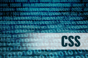 新手站长必看-菜鸟新手零基础学习CSS视频教程