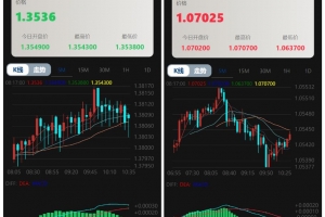 Q107-多语言微交易多行情盘PHP源码