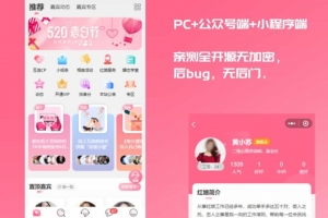 Q111-红娘金媒 2024版婚恋相亲系统源码/婚恋程序小程序+视频教程