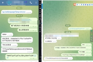 Q170-假飞机盗U系统源码 | 假Telegram系统源码+视频教程