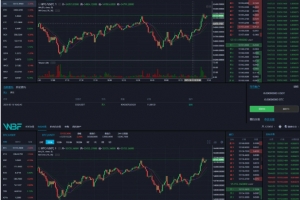 Q175-WBF多语言交易所全功能源码 | 支持申购、平台币、币币、杠杆与合约 | 含VUE工程源码与安装教程