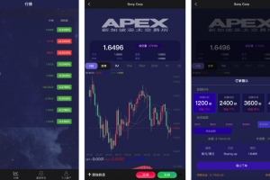 Q193-APEX多语言外汇微盘微交易所源码（HTML+PHP，代理分销+K线）