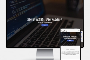 Q297-(H5自适应) PbootCMS网络科技类网站模板 – SEO优化建站公司源码下载