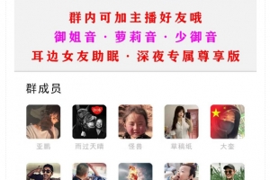 Q346-小储云商城付费进群模板无加密