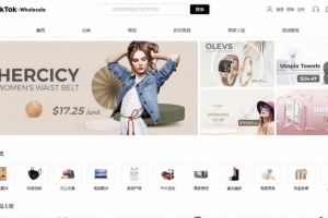 Q412-JAVA版 TikTok 海外商城系统搭建教程+二套源码