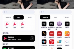 Q442–软件APP导航下载页/自适应源码-带后台