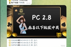 Q454–TG加拿大28机器人源码/Telegram机器人源码/独立管理后台/带视频搭建教程