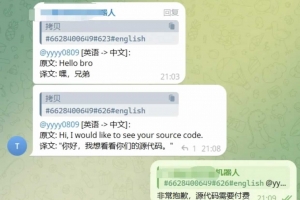 Q456–Telegram AI全自动双向翻译客服机器人源码/带视频搭建教程
