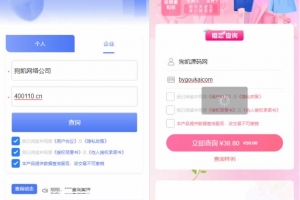 Q462–婚姻查询系统\个人企业案件涉诉案底查询系统网站源码
