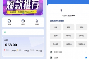 Q464–多语言订单自动匹配系统/海外抢单刷单系统/分组杀/代理后台