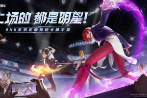 Y608【全明星激斗全套源码】3D格斗拳皇手游/客户端源码+服务端源码+工具脚本源码