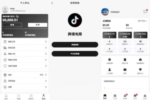 Q497–多语言国际版TikTok抖音商城/带商家客服版TikTok跨境商城源码/内嵌tiktok内置客服文本说明