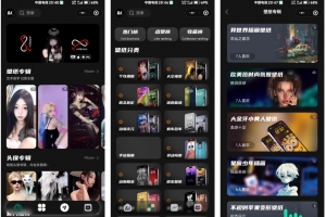 Q510–热门流量主壁纸头像小程序源码 最火小程序源码副业小程序