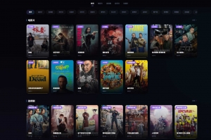 Q543【NewCloud TV】自动采集影视站 PHP+Vue.js