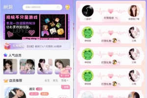 Q564–公众号约玩树洞系统/树洞交友app/树洞源码/神级约会系统/陪聊源码