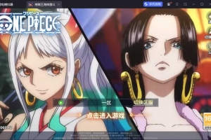 Y1110【海贼王大冒险:最终秘宝多区跨服代金券版】卡牌回合手游2026最新整理Ubuntu手工服务端+管理后台+CDK授权后台+安卓